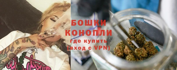 гашик Нея