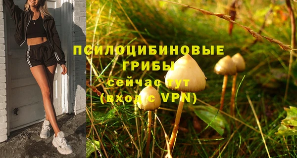 гашик Нея