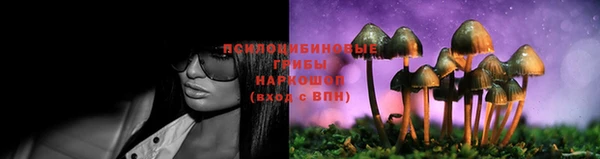 мдпв Нефтегорск