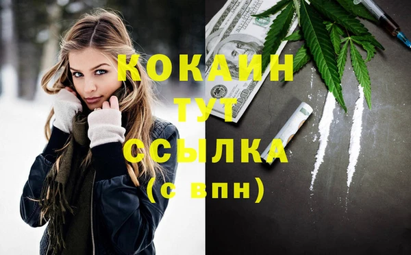 гашик Нея
