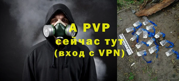 гашик Нея